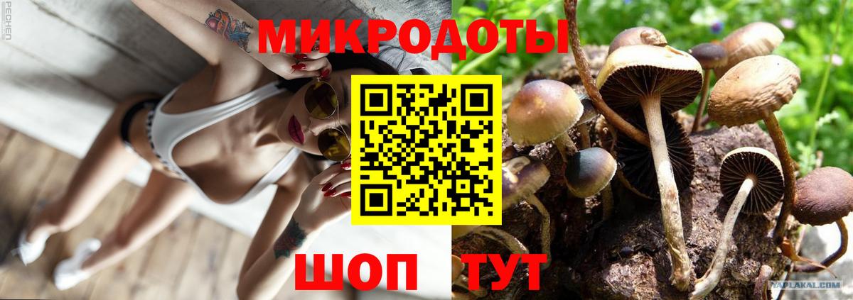 Галлюциногенные грибы MAGIC MUSHROOMS  Галлюциногенные грибы ЛСД  Вход с VPN  Алатырь 